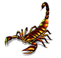 Scorpion