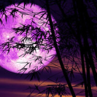 Invocazioni Goetiche La Parola che Apre i Portali