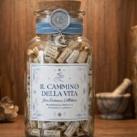 Jars Collettive – Il Cammino della Vita